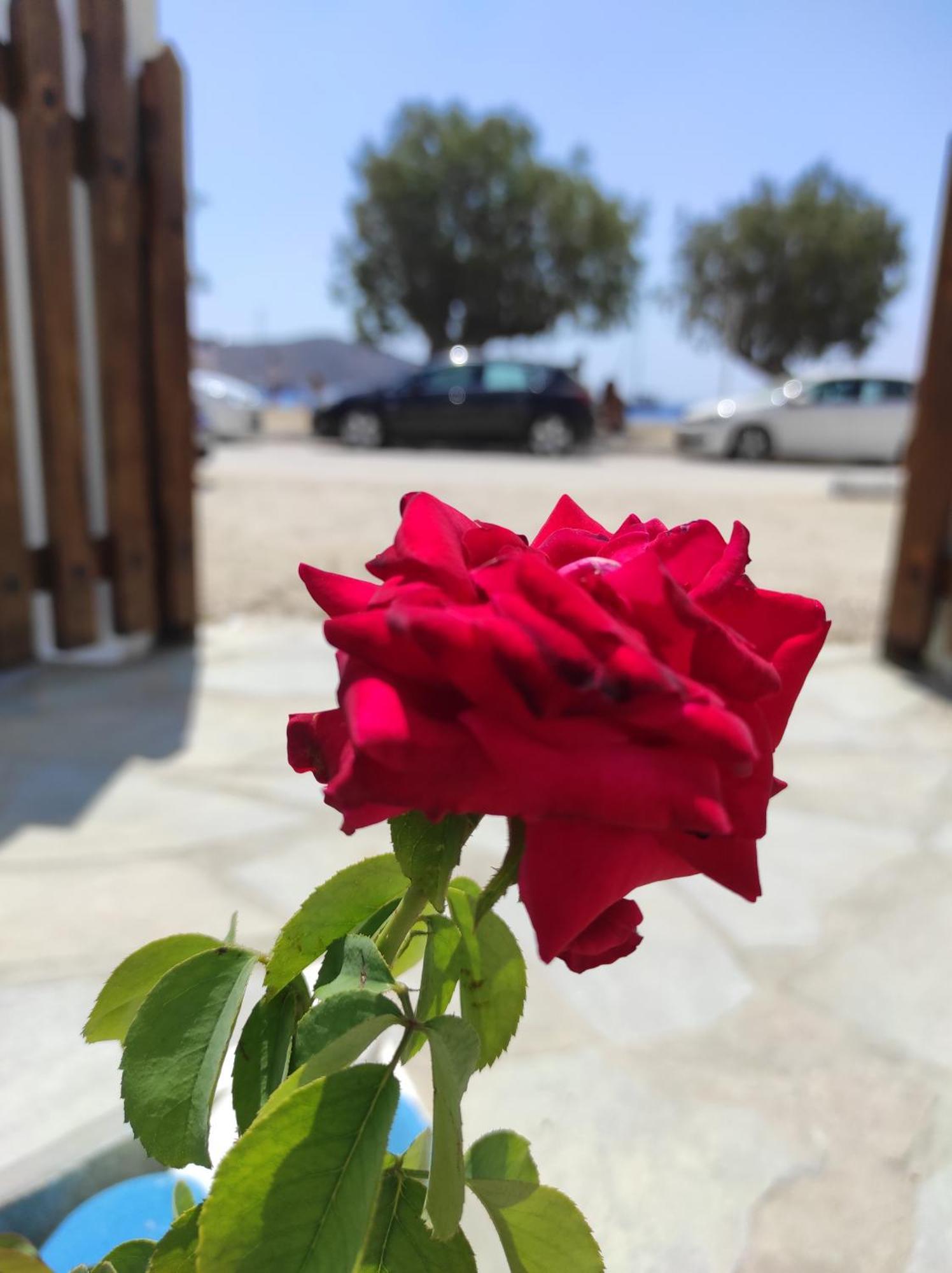 αγκυρα * Livadi (Serifos)