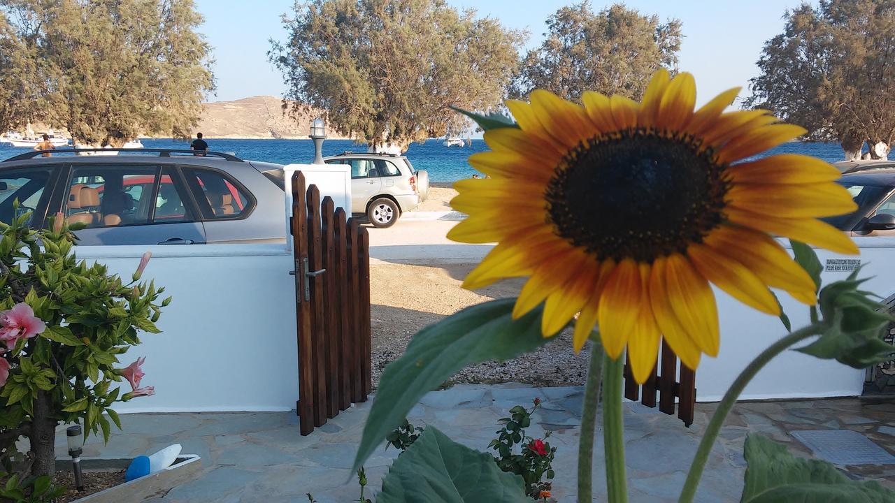 Apartment αγκυρα Livadi (Serifos)