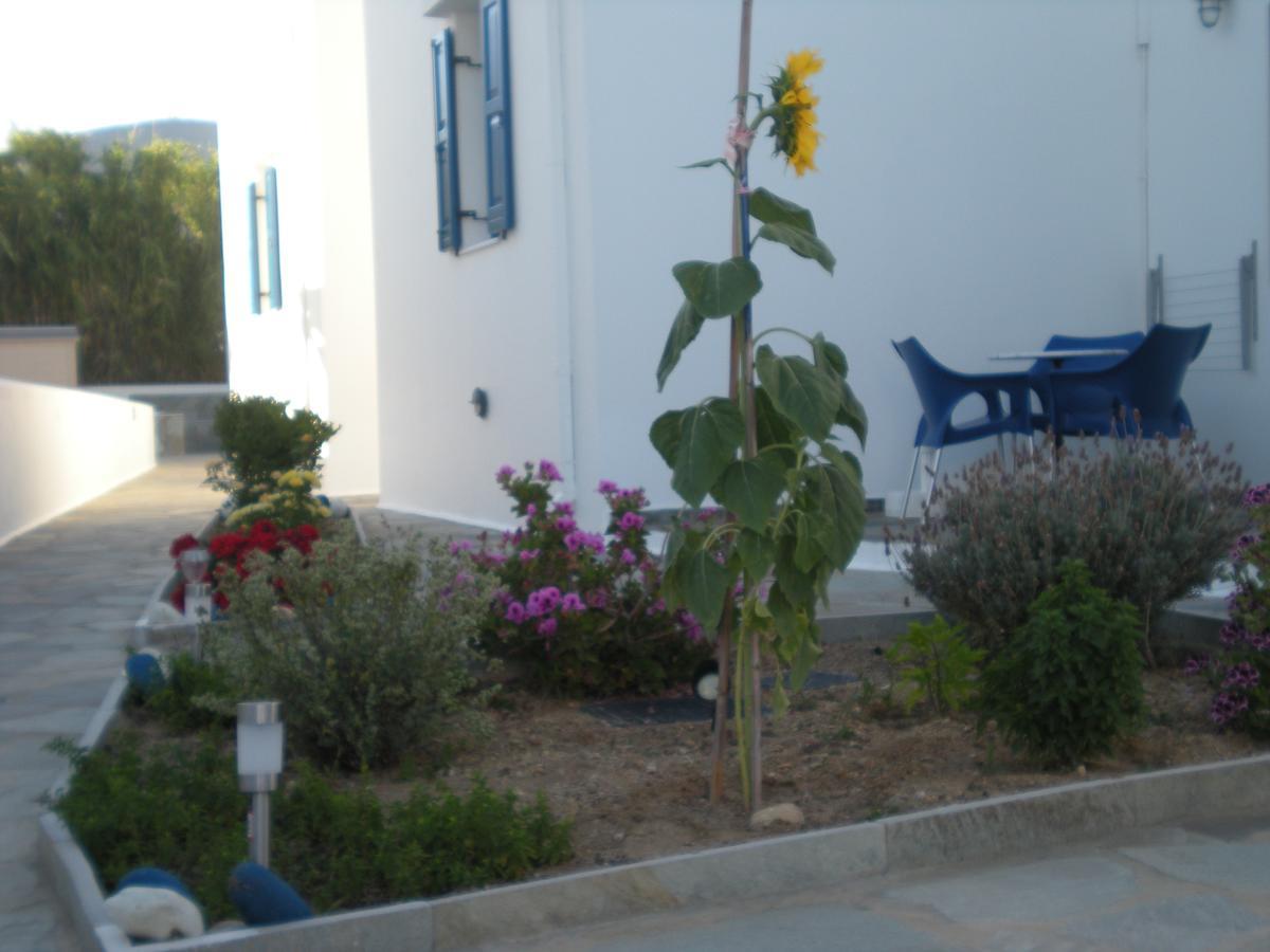 αγκυρα * Livadi (Serifos)